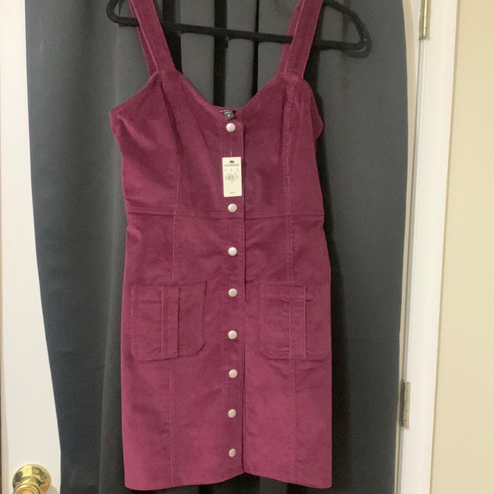 Express button up dress